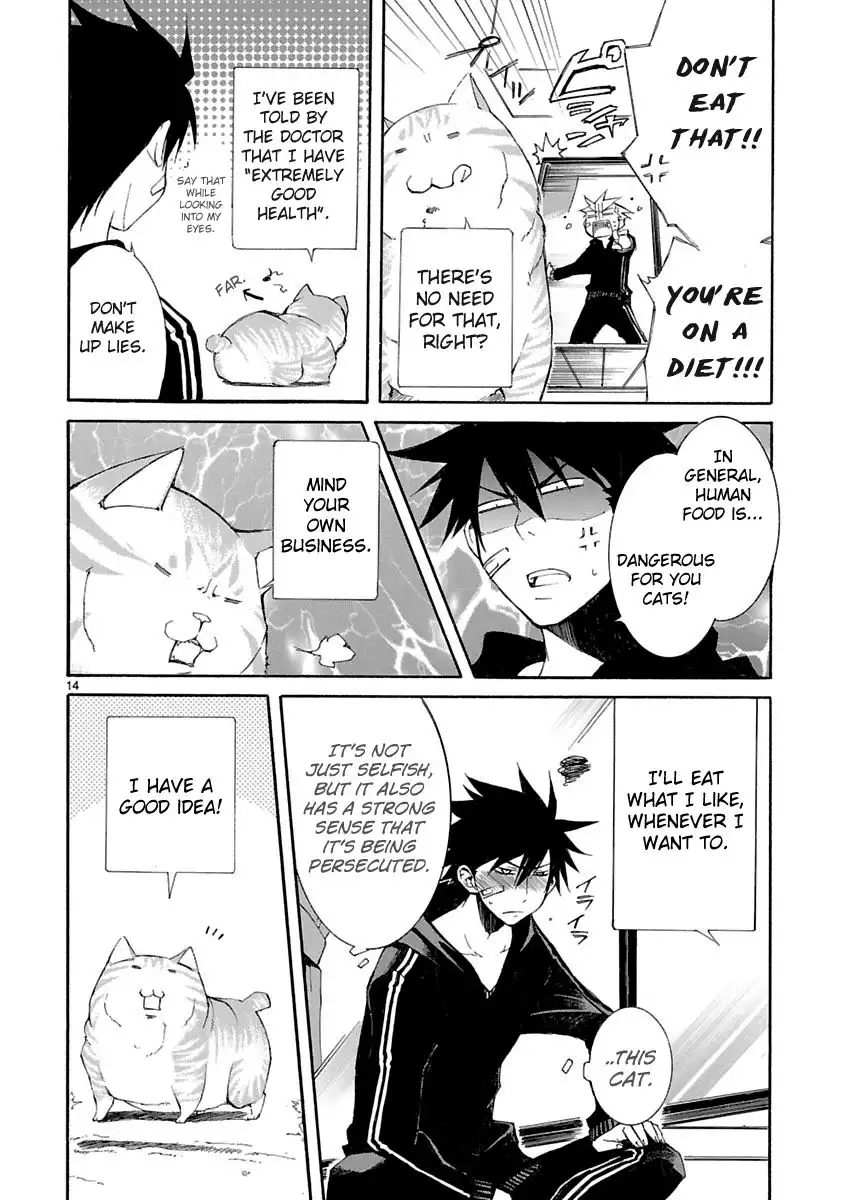 Nyan Koi! Chapter 8 15